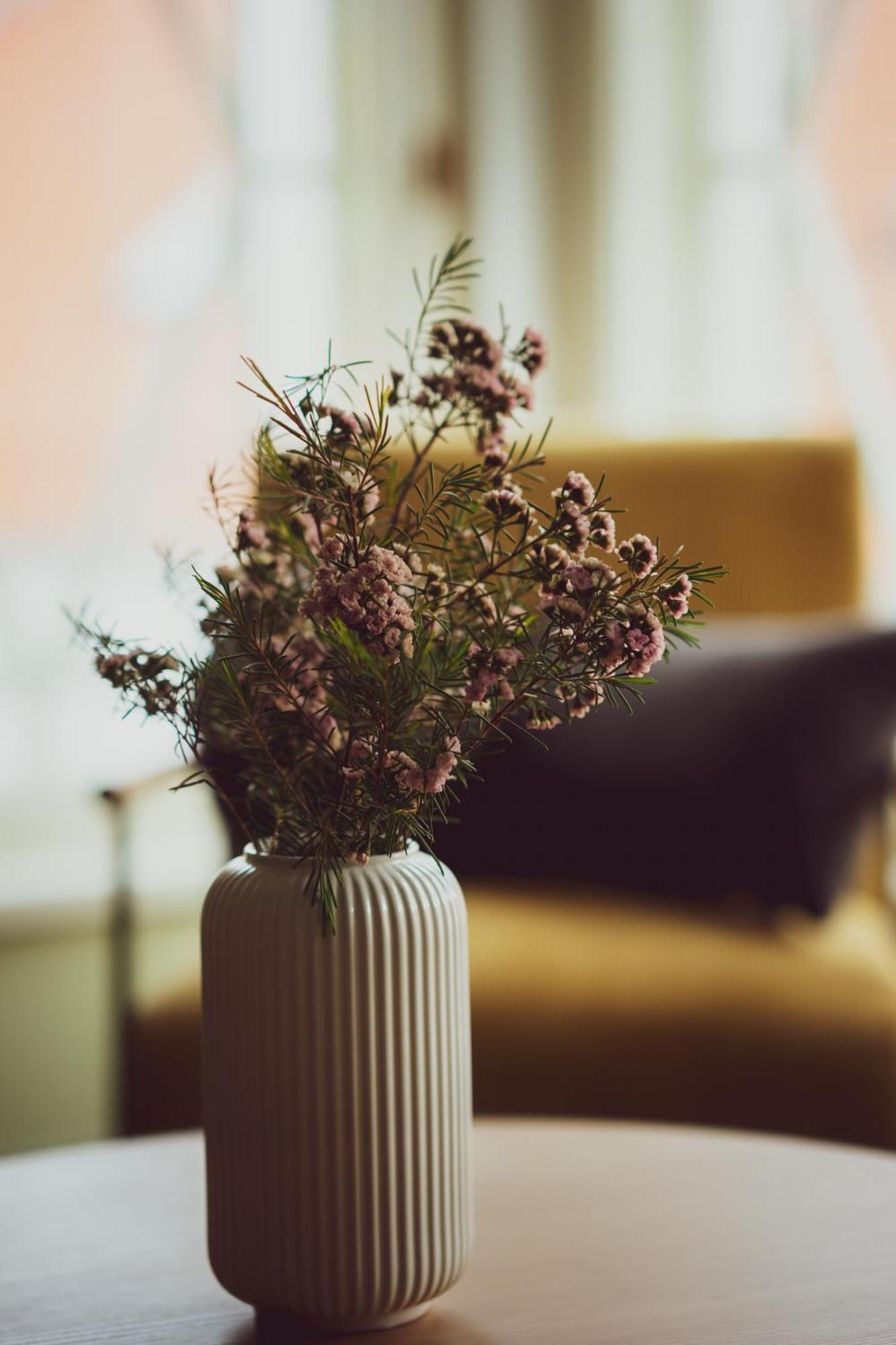 Vanalinna Boutique Hotel 쿠레사아레 외부 사진
